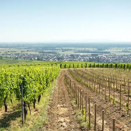 Les Du Domaine Bed & Breakfast 3*